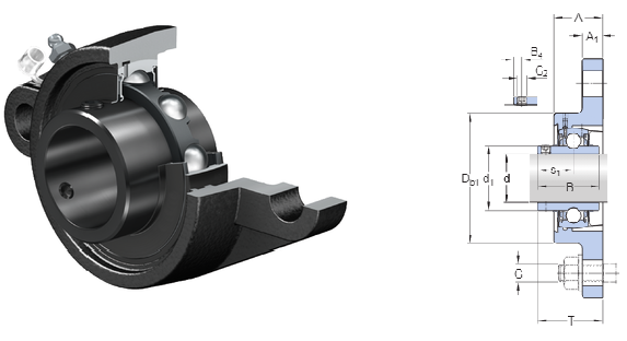 QQ resim 20250624111047.png